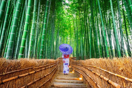身着日本传统和服的亚裔女京都竹林BashboobooForest春天日本人女士图片