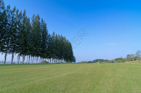 有球道树和蓝天高尔夫球场的风景优美春天竞赛图片