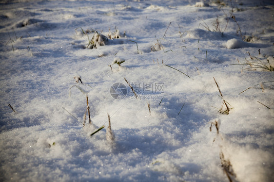 在最后一场雪落之的下照片是在降后的冬季拍摄最后天气白色图片