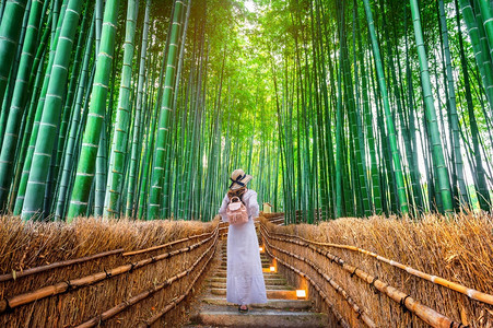 日本京都竹木森林行走的女孩图片