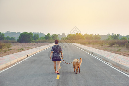 爱外部乐趣女人和她的金色猎犬在公共道路上行走图片