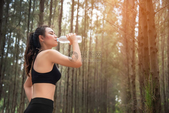 活力合身森林体育和健康概念中的亚洲美容女饮用水慢跑与运行概念应放松采取休息主题户外活动锻炼图片