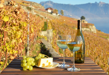 喝农村柴金葡萄酒与瑞士拉沃园图片