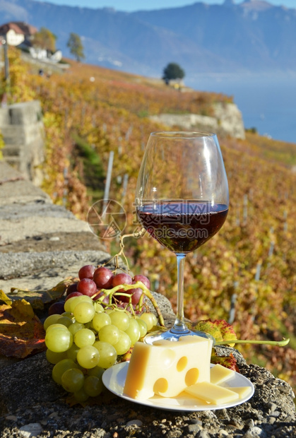藤蔓饮料红酒对抗瑞士拉沃的葡萄园酒图片