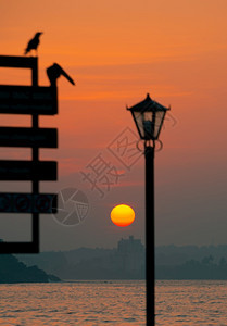 早晨太阳升起在地平线上晨雾和盖勒美丽的景色风暮黄昏街道图片