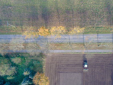 空中照片与无人驾驶飞机田地与秋季天在乡村公路上耕种农民树有长的阴影和多彩叶子耕地自然太阳图片