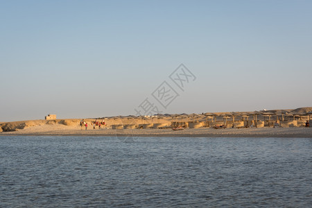 埃及海滩背景有典型的阳伞前方有红海面色蓝的季节休息室图片