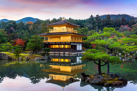 日本京都金宝馆九寺观光树地标图片