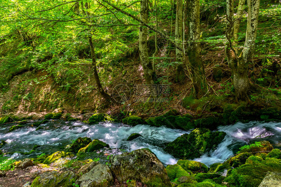 溪流荒野黑山森林中河流的连累黑山森林中的河丰富多彩图片