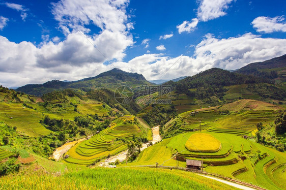 地标草MuCangChai梯田上的稻农村图片