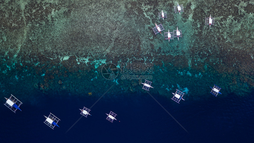 宿雾目的地龟浮船从空中上向下俯冲在开阔海中游动珊瑚礁上空有清晰和松绿的水域离开热带环礁湖摩尔博阿岛奥斯陆b菲律宾宿务岛图片