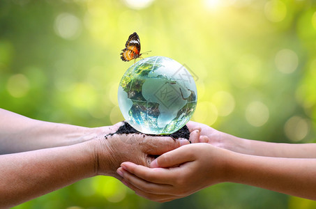 社会的植物节省成人将世界送给婴儿概念日地球拯救世界环境在绿色散景背的草丛中图片