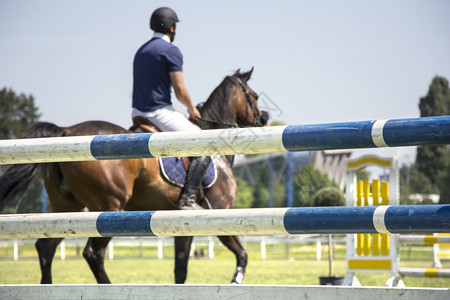 萨格勒布竞争骑马的手在竞技比赛中参加跳跃锦标赛高的图片