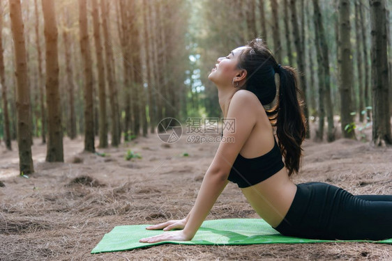 在森林中做瑜伽和规划绿垫的美丽亚洲年轻女青在森林中进行锻炼和冥想概念平农村微笑早晨摆姿势图片