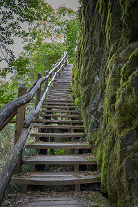 晴天荒野保加利亚卡洛费尔附近的EcopathWhiteRiver森林中山丘上的一个木制楼梯走图片