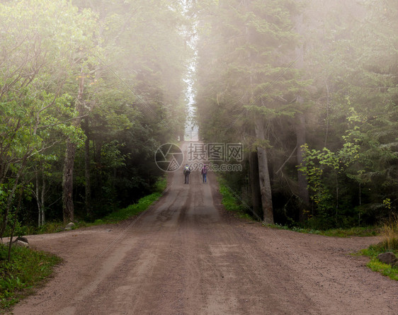太阳村路和沿行走的人在雾中们在时森林环境图片