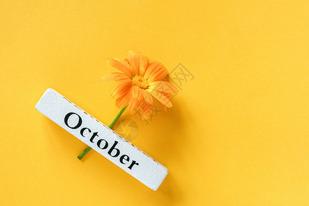 布局好的卡片一朵橙色金盏花和日历秋季十月在黄色背景顶视图复制空间平躺最小风格概念你好十月模板为您的设计贺卡一朵橙色金盏花和日历秋图片