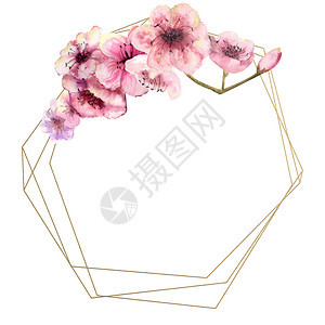 樱桃婚姻优质的花枝金框上有粉红色的花朵孤立白色背景春天框架水彩插图樱花孤立的白色背景图片