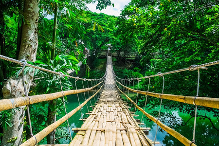 树走道菲律宾Bohol热带森林河上悬浮桥菲律宾博霍尔热带森林图片