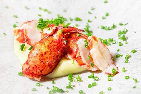 热切的龙虾肉配在盘子上高品质光相片装在盘子上一小块煮熟切的龙虾肉配在盘子上美味的健康餐厅图片