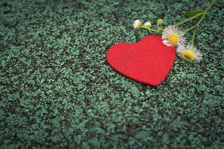 保护绿色步行道路上的红色心和可爱花朵具有复制空间背景白色的颜图片