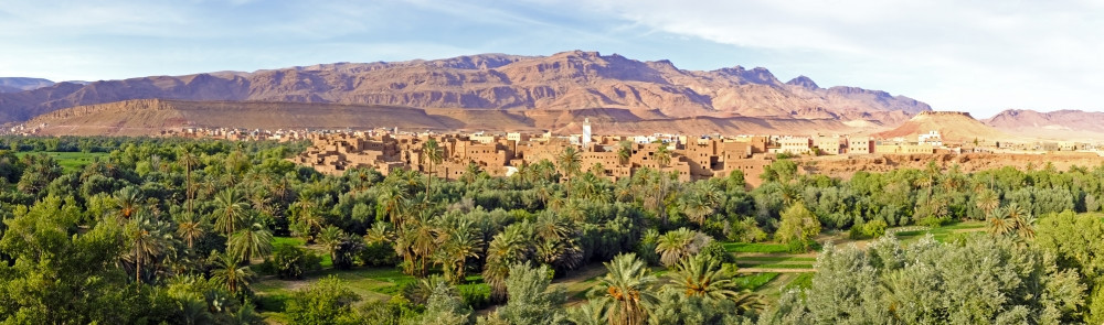 植物绿色岩石摩洛哥非洲达代河谷绿图片