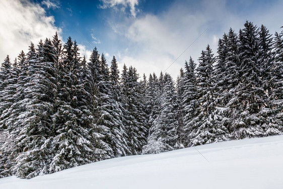 冬季雪景风光图片