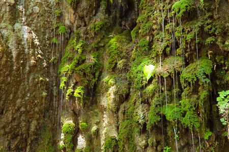 荒野苔藓流过悬崖的瀑布与岩石相连的块自然图片