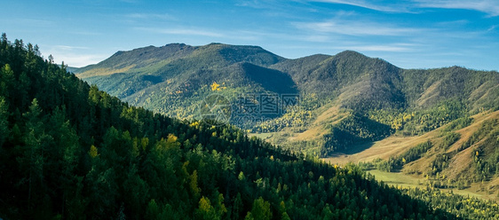 树范围云景秋天的阿尔泰山和丘陵全景照片秋天的阿尔泰山和丘陵全景照片图片