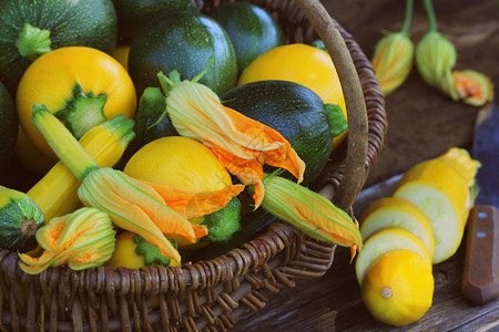 收获西葫芦放在篮子里的新鲜南瓜从花园里采摘的新鲜南瓜有机食品概念来自花园的新鲜南瓜有机食品概念生长苗床种植园图片