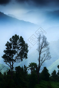 季节喜马拉雅山上戏剧日出天空山脉深云在背景环境概念中黑暗雨云关注地表野生树木阴影风景背景图片