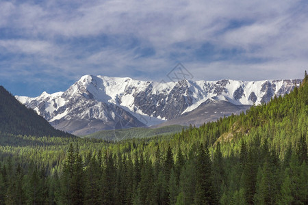 苍白美丽的冬季景观与白雪覆盖的山峰美丽冬季景观与白雪覆盖的山峰圣诞节全景图片