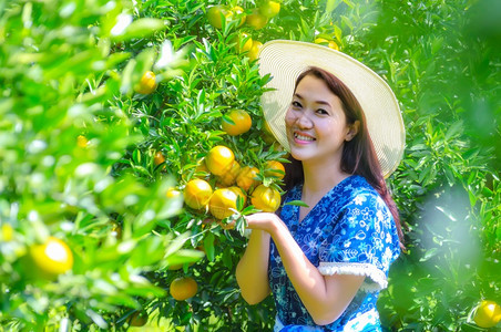 橙子园里的女人图片