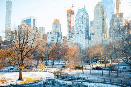分支中央公园在冬天纽约市美国丽的中央公园在纽约市覆盖风暴图片