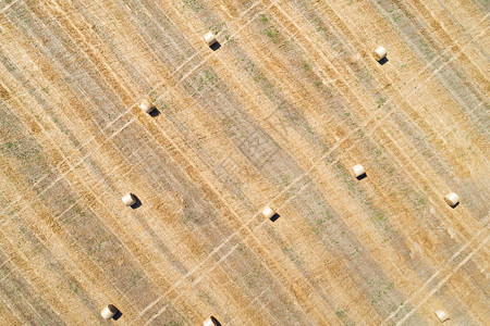 空中无人驾驶飞机用散落的干草胶卷观察田地环境土抽象的图片