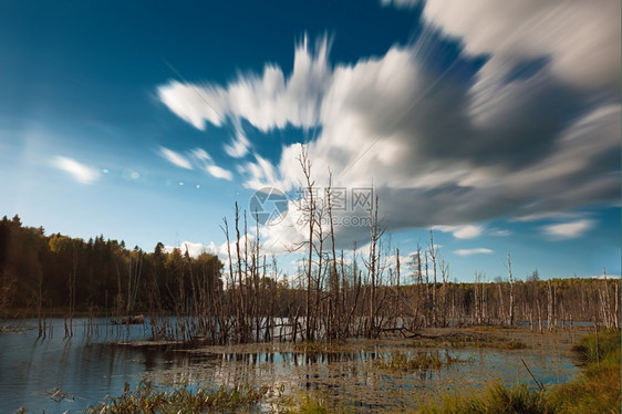镜像景观生态系统森林湖中枯树云层模糊运动图片