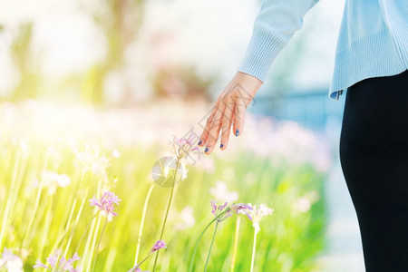 田里的女人和鲜花用手摸紫花带复制空间年轻的裙子美丽图片