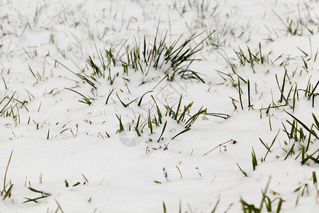 冰气候景观冬季雪在下后出现冬季的雪流在天飘动季图片