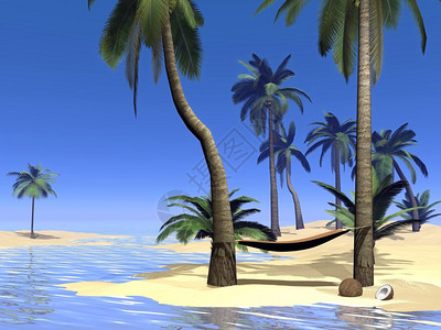 植物热带海滩上两棵棕榈树之间的Hammock通过美丽的天气放松3D旅行温暖的图片