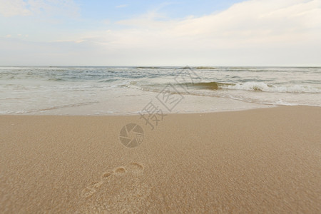 清除大西洋海滩的浪冲湿蓝色图片