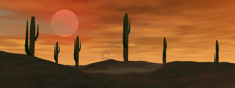 亚利桑那沙漠中的仙人掌在沙漠中由阴云的日落墨西哥热图片