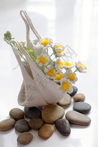 口罩回收的小菊花编织花盆和石子做的艺术作品图片