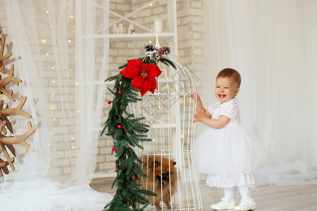 一个美丽的女婴肖像在内地和一只小狗玩耍带着圣诞装饰品十二月学步的儿童裙子图片