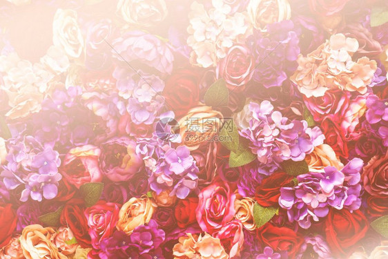 花瓣植物群墙纸粉色橙和桃玫瑰背景情人节概念的浪漫梦幻设计粉橙色和桃玫瑰背景情人节概念的浪漫梦幻设计图片