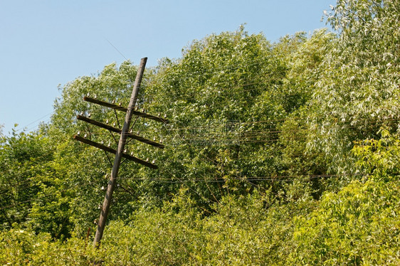 金属丝支柱长着铁丝线的老硬木电杆在美丽的夏日树木背景之下被留图片