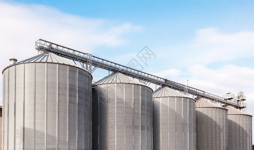 仓库加载工业的利用白云储存谷物小麦玉米大豆向日葵和干燥蓝天用白云遮挡蓝天图片