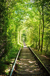 乌克兰树木形成的天然爱情隧道克莱文乌兰树木形成的天然爱情隧道浪漫的著名美丽图片