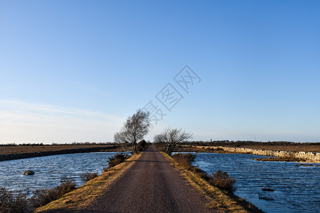 草地春季前美丽的乡村道路在瑞典的奥兰岛穿过洪水泛滥的地貌自然农村图片
