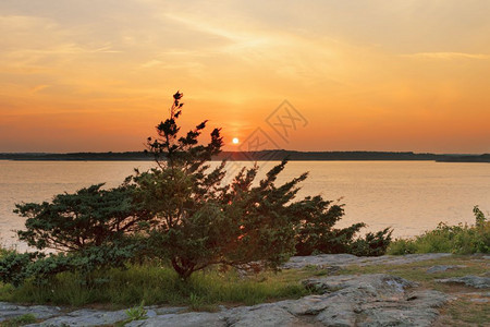 结石自然海景日落在岩石岸美丽的夕阳在岩石海岸图片