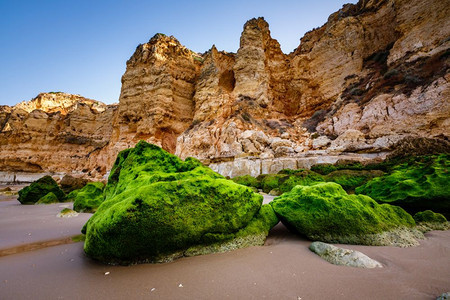 上午葡萄牙Algarve拉各斯PortodeMos海滩的岩石和克里夫绿色自然早晨图片